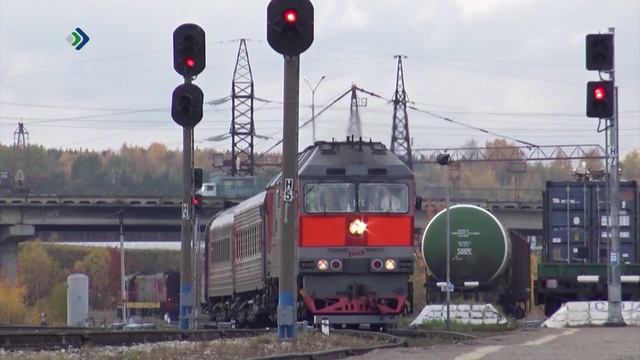 В России ввели скидку 50% на билеты в поезда дальнего следования для детей до 18 лет