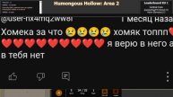 Фанаты хомяка и квинки в комментариях у @SdoxBloxxer