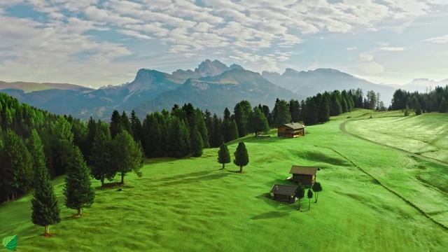 Музыкотерапия 🌿 Успокаивает нервную систему и освежает душу, расслабляя №3