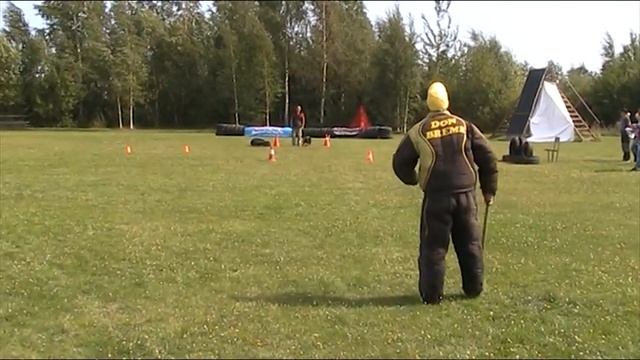 Аргентина с Гуляй Поля фронтальная атака