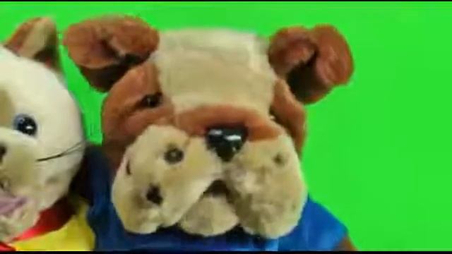 Киска и дружок