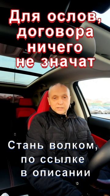 Осёл - это тупое животное.