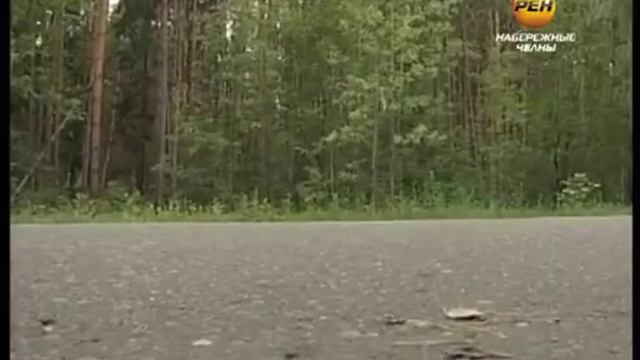 веломногодневка