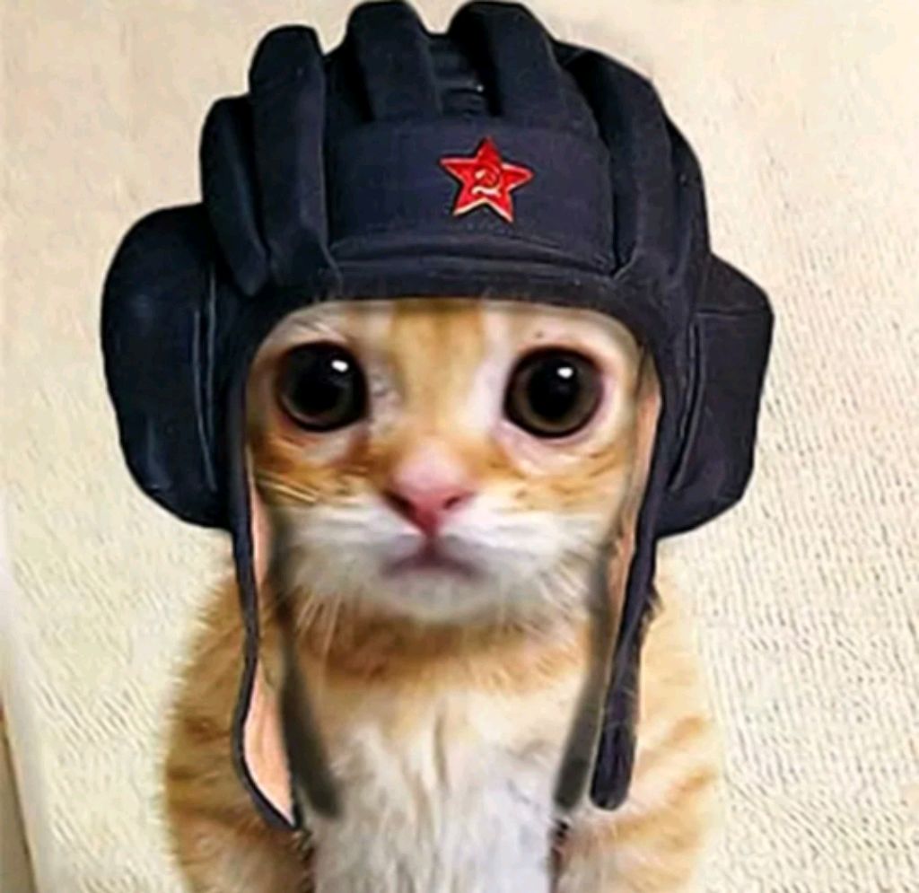 Печенка