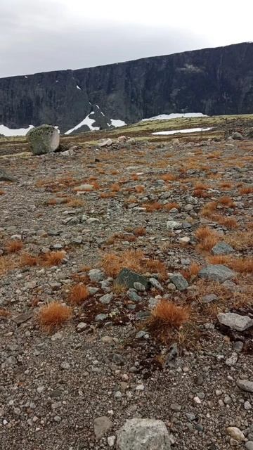 #путешествия #природа