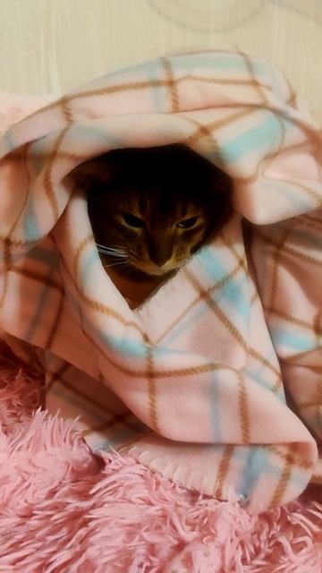 Когда ты большой собственник 💓 собственный костюм и личный плед