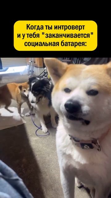 👉 ПОДПИШИСЬ - у нас весело 😁