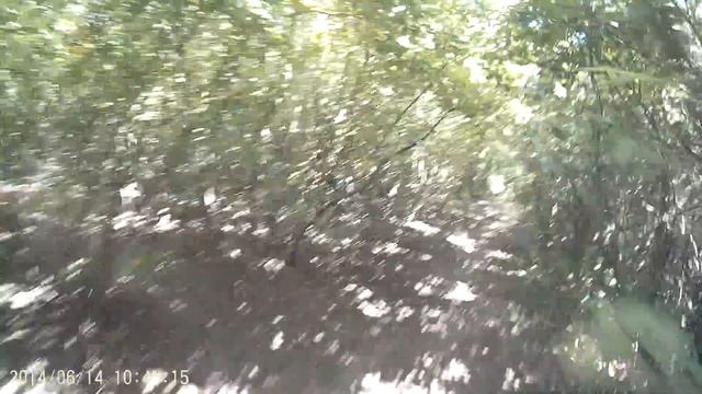 ориентирование 14.06.14 (14 из 14)