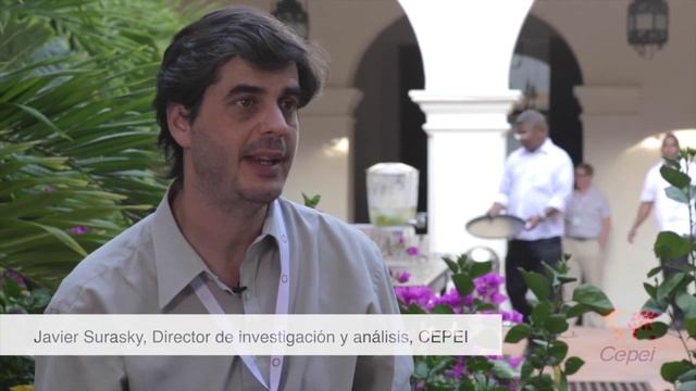 Javier Surasky, Investigador y Analista, Cepei