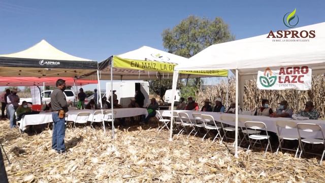 ASPROS SEMILLAS HIBRIDAS DE MAIZ PARA REGIONES DEL CENTRO