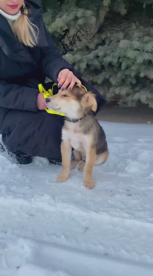 Трогательный малыш — щеночек Филя😍🥰