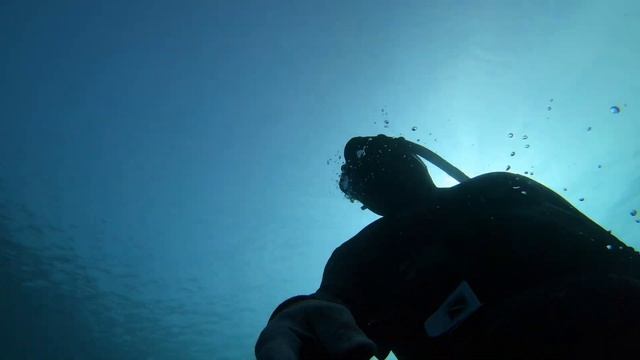 Freediving at the Philippines, Panglao, One Breath with Brano