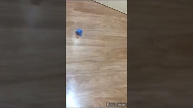 машинное зрение