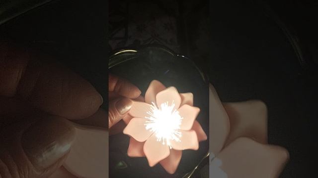 Фикс-прайс готовится к дачному сезону!