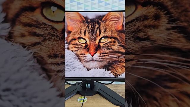 Игровой монитор Gigabyte MO34WQC2