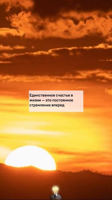 Мудрость в Мгновениях: Вдохновение на Каждый День