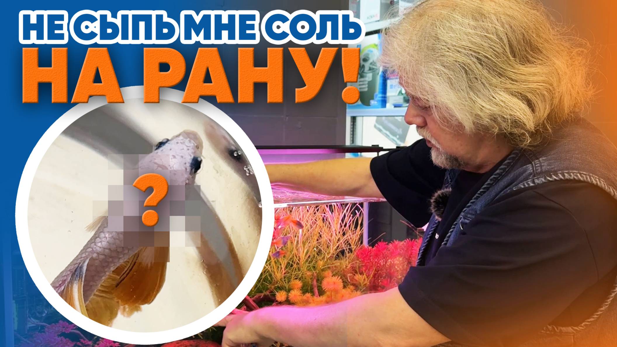 Аквариумные новости с Владимиром Ковалёвым (08.03.2025). Не сыпь мне соль на рану!