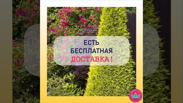 Клип_17_35 сек_1+музыка