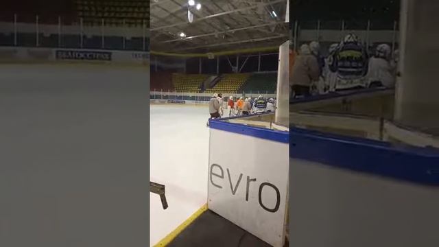 ХК Гомель Рысь