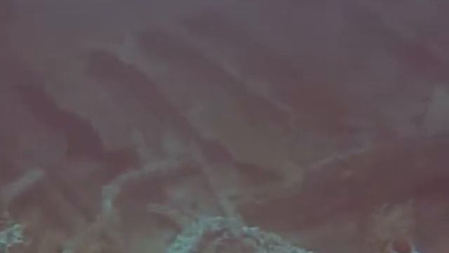 Diving the Normannia - scooters