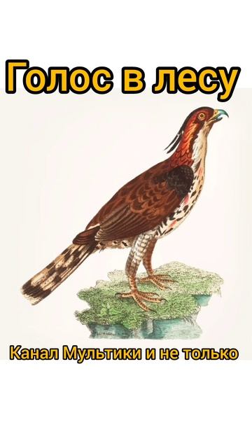 Голос в лесу | Стихи детям | С. Я. Маршак | Стихи для малышей на ночь 😴 Стихотворения