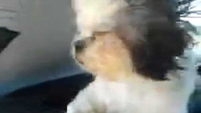 Wind Tunnel Louie