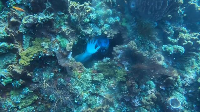 Formations Dive master Hervé Amed Bali Abyss
