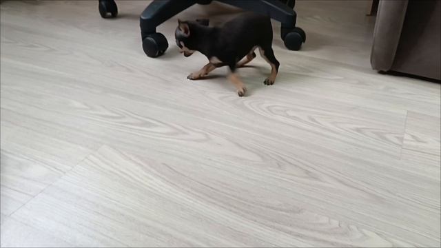1000045249.mp4