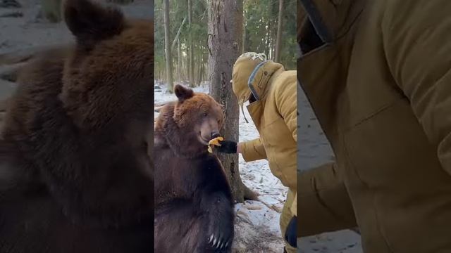Мы с Толиком.