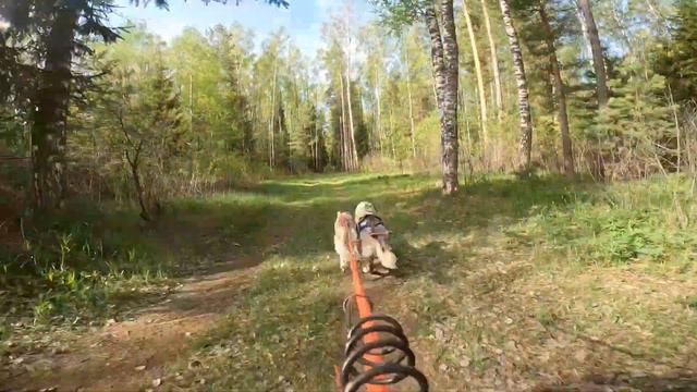 Котефтеля во Владимире 🥇
