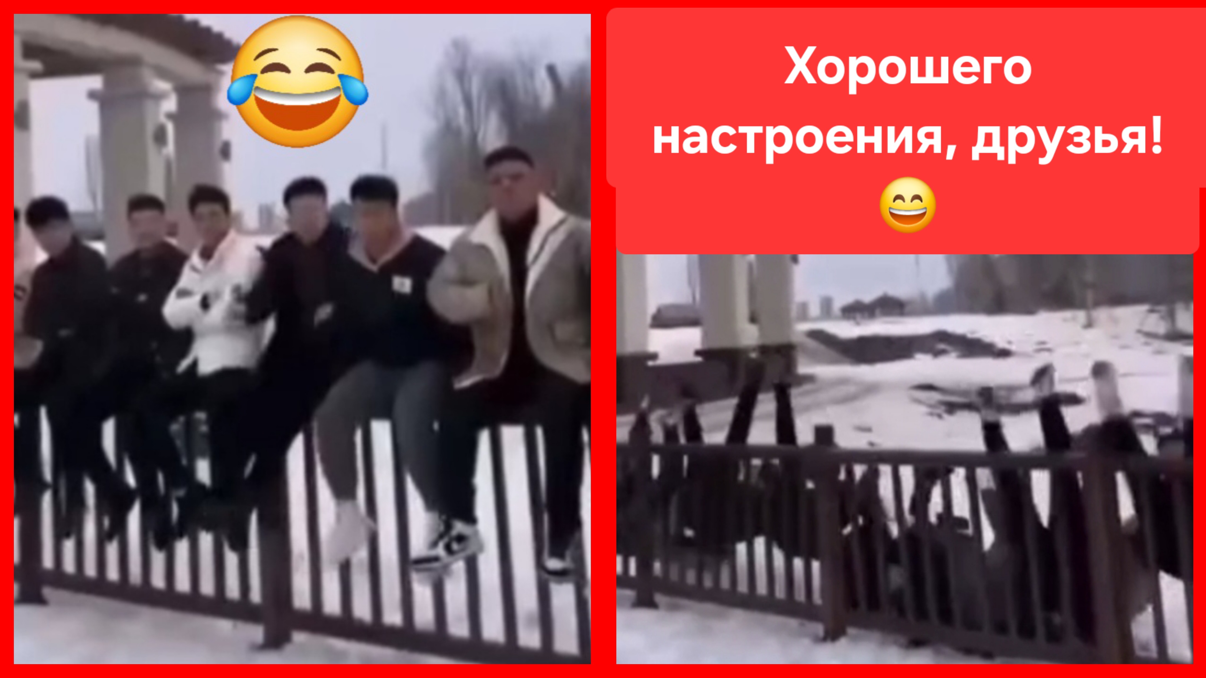 Немного юмора в ленту. Прекрасного настроения, друзья!😄