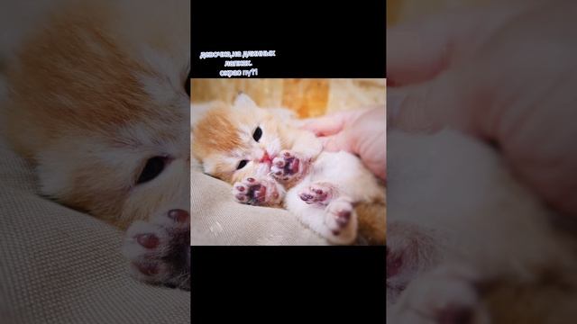1000088055.mp4