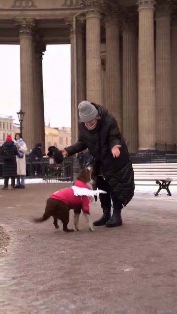 Мы поздравляем всех с праздником🌹желаем всем счастья!!!