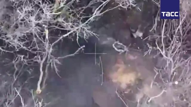 Операторы FPV-дронов группировки "Юг" сорвали ротацию сил ВСУ