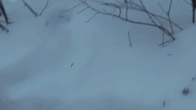 легкий морозец