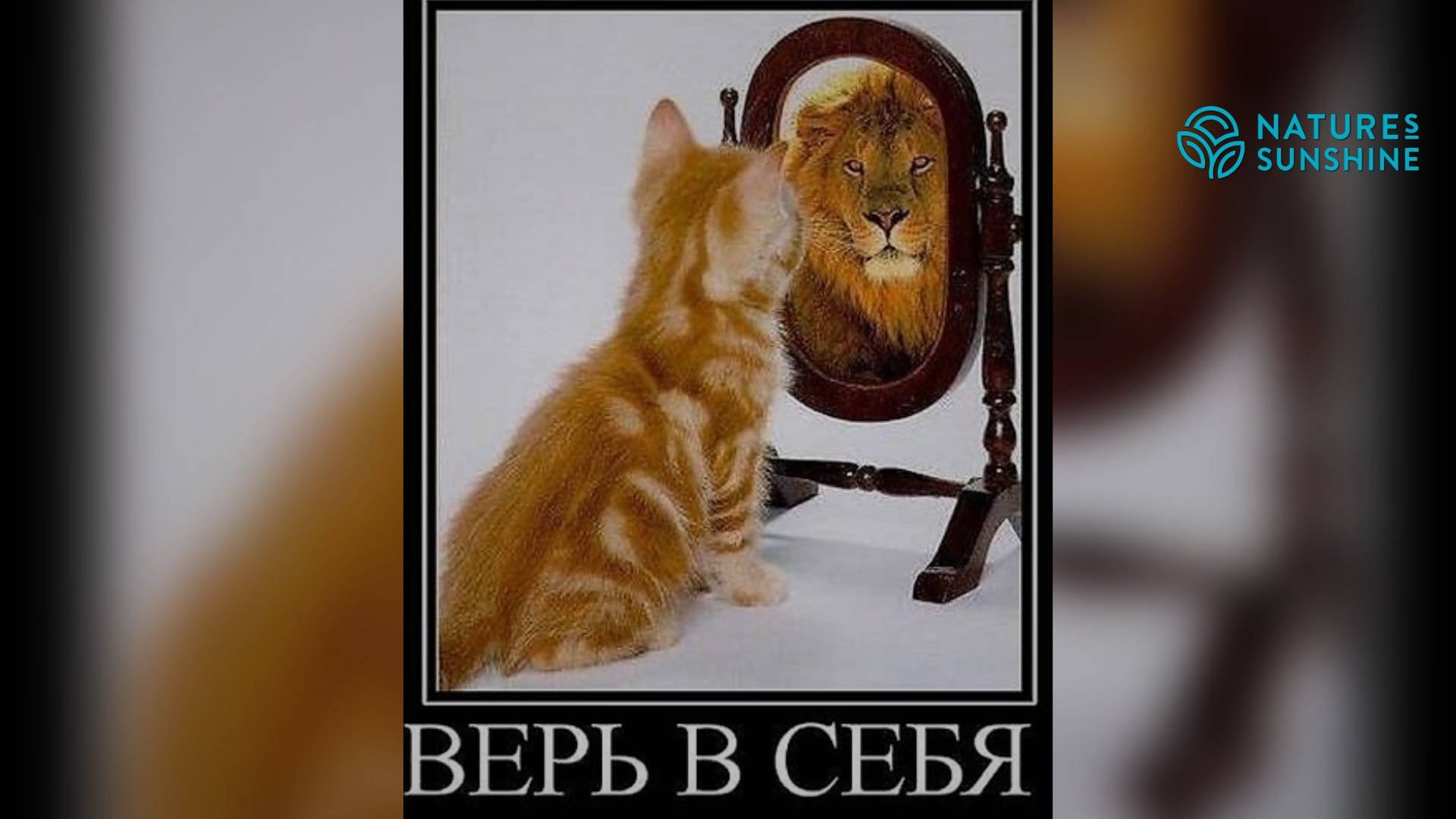 Вера в себя.