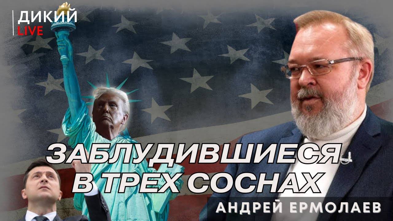 «Животворящий Трамп», или Слон в посудной лавке? Андрей Ермолаев. Дикий LIVE.