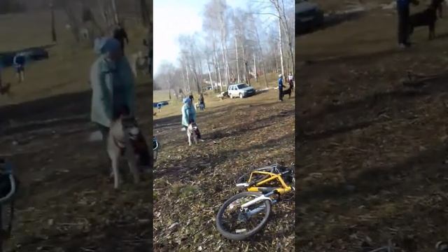 Соревнования в лагере "Спартак-Парк"
