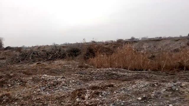 GPS ориентирование. 31.12.2021. Часть 7. По прозвищу "Бампер".