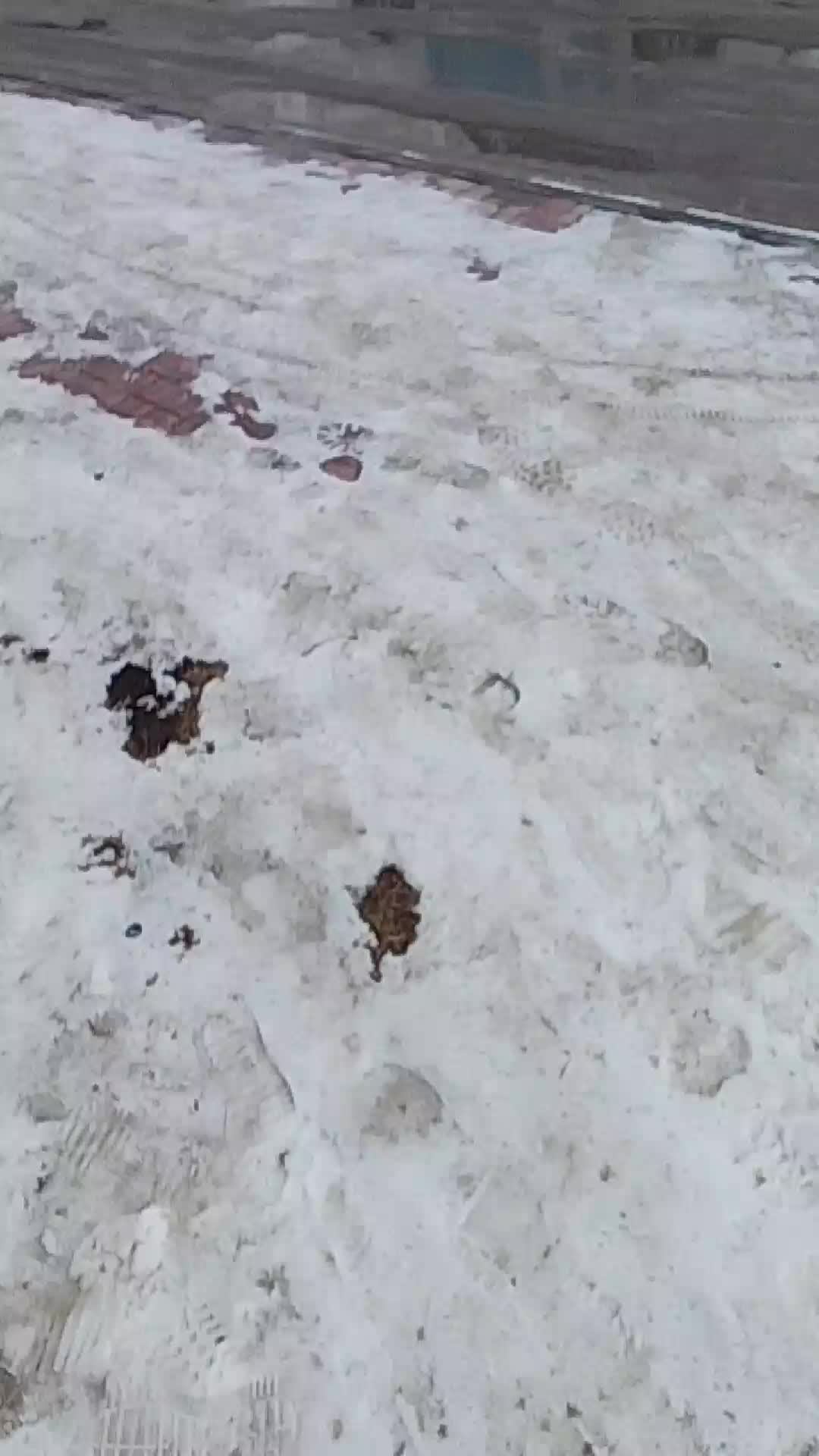 прогулка на улице очень холодно