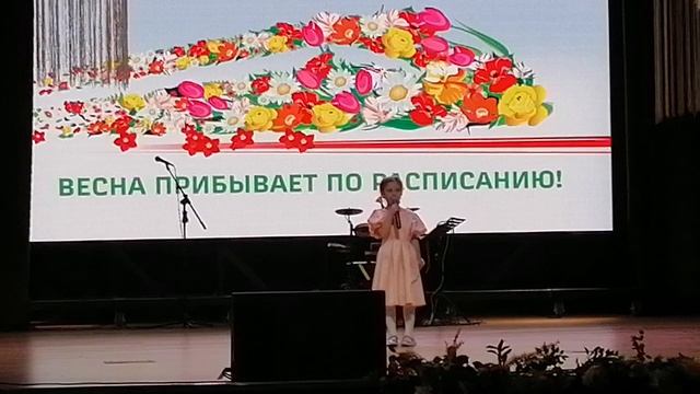 VID_20250306_154334