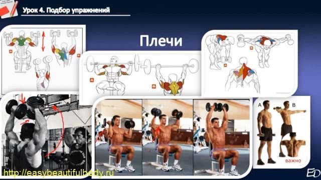 Упражнения на плечи.flv