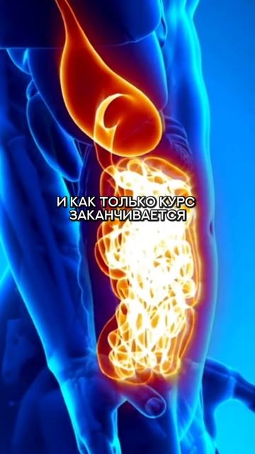 правда о оземпике #спорт #оземпик  #зож #похудение #пп #нутрициолог #стресс #потерявеса