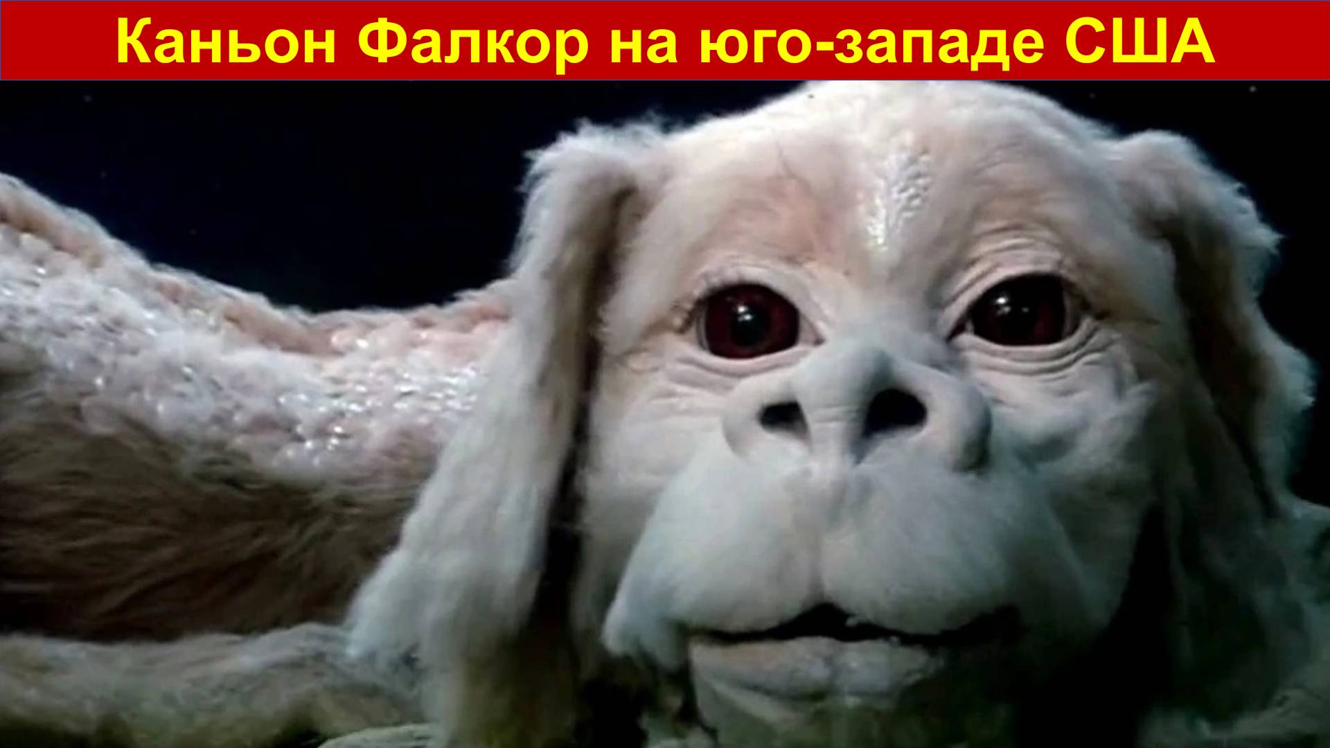 Доисторические окаменелые гиганты на юго-западе США - Каньон дракона Фалькора