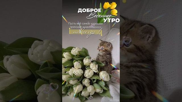 Доброе весеннее утро💖 Хорошего дня😊💝