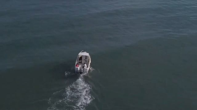 quicksilver pilothouse 560 for sale