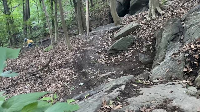 NYC Downhill Trails | Highbridge Bike Park