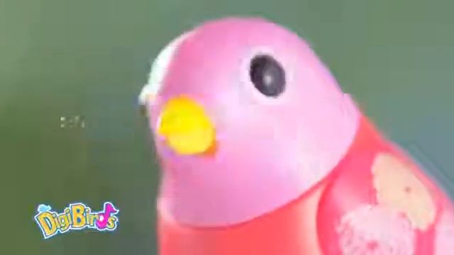 Дигитални пеещи птички Диджибърдс от Bghlapeta.com