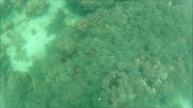 Shimonaka Island - Westmost Japan