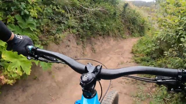 Pacifica xxx(optional trail)